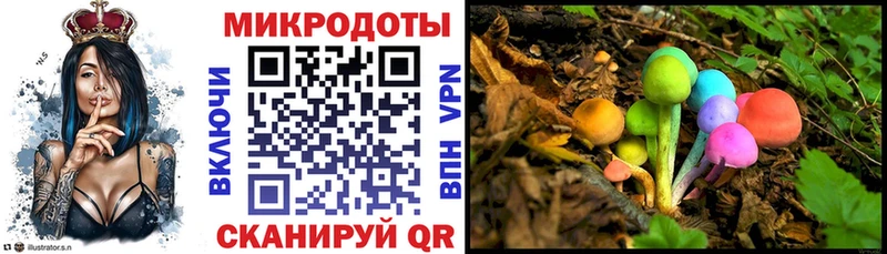 Псилоцибиновые грибы Psilocybe  Мегион 