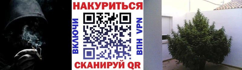 что такое Мегион Шишки марихуана VHQ
